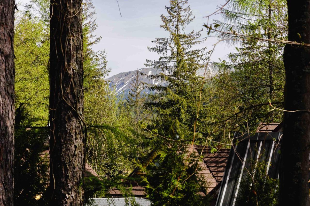 Apartamenty Chata Pod Reglami Zakopane Esterno foto