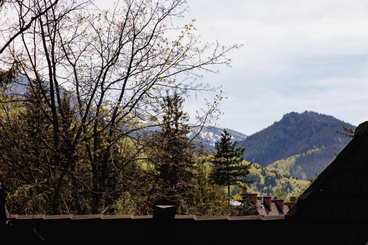 Apartamenty Chata Pod Reglami Zakopane Esterno foto