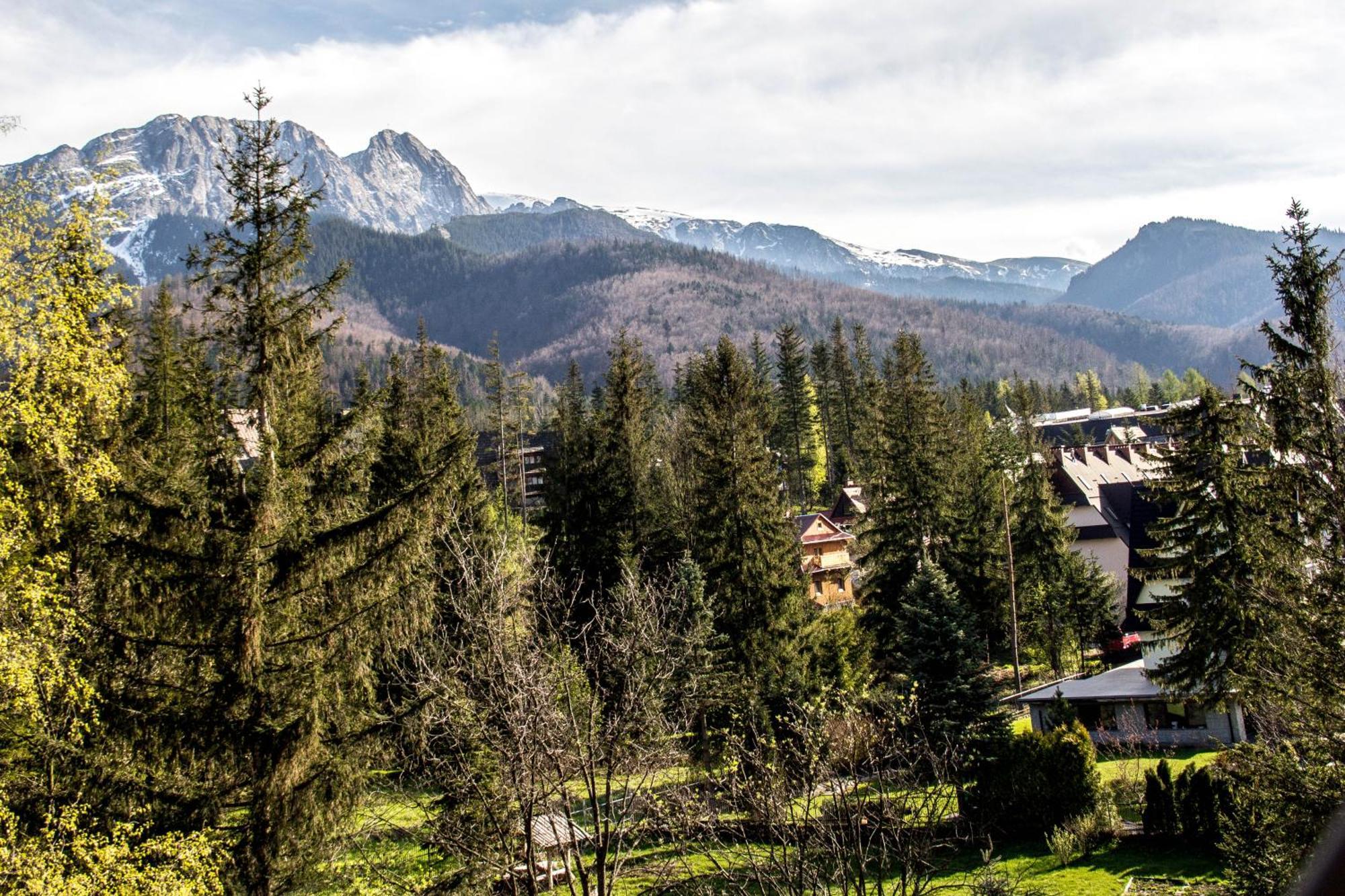 Apartamenty Chata Pod Reglami Zakopane Camera foto